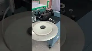 Wedge Insertion Machine for Outer Slots (6th Station)