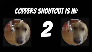 copperthedog shoutout real