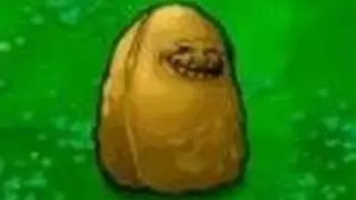When posteas tus momos en las miniaturas de emre