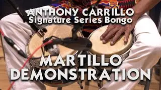 How to play martillo on bongo by Anthony Carrillo