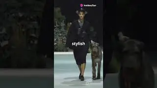 Paws on the Runway: Dog Fashion Show Extravaganza!