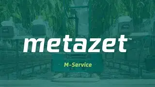 Metazet | M-Service