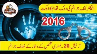 Cyber Crime Act 2016 | Article 20 | فطری شخص کے وقار کے خلاف جرائم