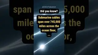 The Internet's Physical Infrastructure