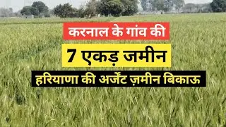7 एकड़ जमीन बिकाऊ हरियाणा करनाल की 7 acres land for sale in Haryana Karnal #karnal #haryana #land