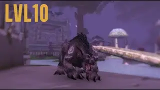 New HC next week, SOD TIME! - Furious Gladiator leveling