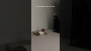Cute toy poodle dog barking at her toy #funny #cute #dogshorts #dogvideos #puppy