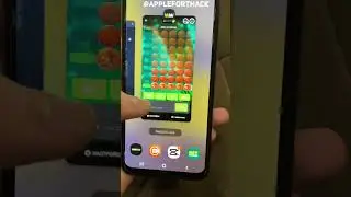 Apple of Fortune Smart Bot &ndash; Learn the Best Moves for 1000$
