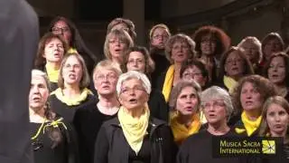 ‪Projektchor 