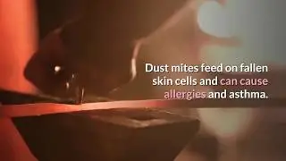 Cleaning tips to prevent Covid-19 virus