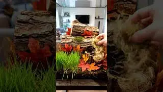 Luxury Dream Home for a Tiny Chipmunk 🐿️🍂 (ASMR)#shorts