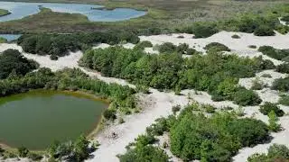 Outer Banks Real Estate Live | Active Lots & Homes in Corolla, Carova & OBX