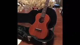 Kala USA Elite Koa 2 Tenor Review