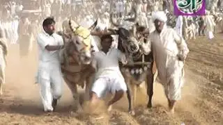 Bikhari kalan ...jalsa karah
