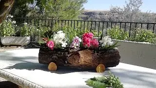 Jardinera hecha con Tronco de Árbol