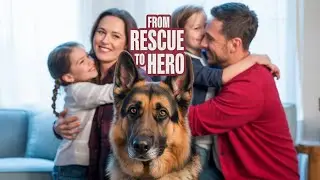 Rescued German Shepherd Protects His New Family in a Life-Changing Moment