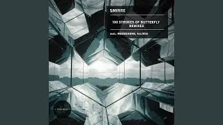 100 Strokes of Butterfly (MauerHuhn Remix)