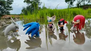 Hunting Sonic The Hedgehog:Sonic/Knuckles/Silver/Shadow/Metal Sonic/Tails/Amy Rose/Egg Man/Robotnic
