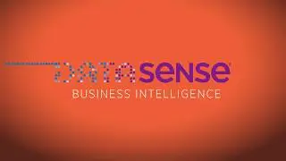 DataSense Promo 2017