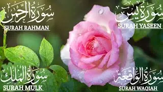 Beautiful Recitation Surah Yaseen❤️Surah Rahman ❤️ Surah Waqiah ❤️ Surah Mulk  #qurantilawat  