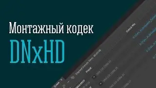Монтажный кодек DNxHD. Установка, сравнение, пакетное конвертирование в Adobe Media Encoder.