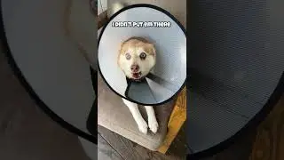 Нам понадобится конус побольше 🤣