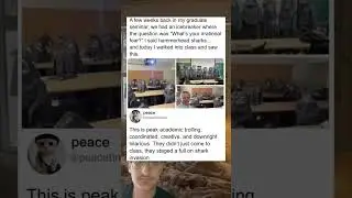 Full on shark invasion