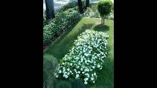 my favourite company dwarikesh sugar industries limited bundki Bijnor Uttar Pradesh