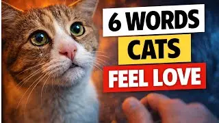 Your Cat Hears Love in Your Voice—Here's What They Actually Feel