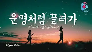 운명처럼 끌려가 | Pulled Like Destiny | Full Lyric Video