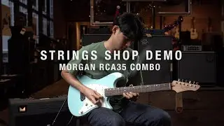 STRINGS SHOP DEMO : MORGAN RCA35R COMBO