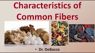 Characteristics of Common Fibers