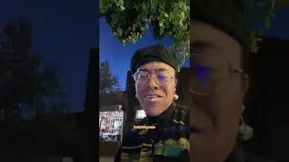 Old Town Montrose City Tour + Reviews