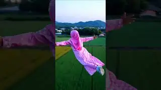 video terbang