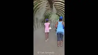 Detroit Zoo 2024 - The Dinosaurs Exhibit - short walk through