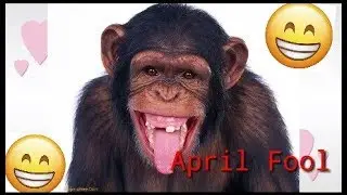 April Fool WhatsApp Status Video 2023 || #AprilFool #FunnyAprilFool #AprilFoolStatus #1stApril