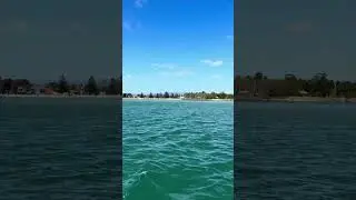 NSW or the Caribbean? Windang Right Now! #Windang #NSWBeaches #CrystalClearWater #YouTubeShorts