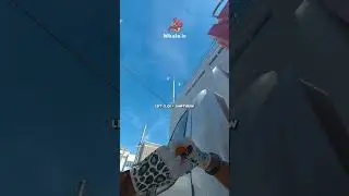 ⚠️Must-Know Outside Smoke SetUp (Nuke)🚨