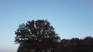 Mariaheide 6
