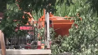 DEADLY ACCIDENT: 17-year-old killed while working with a woodchipper