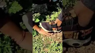 Bhalai Ka Jamana Hi Nahi Raha #comedy #shorts #video  | Cute Raja 27