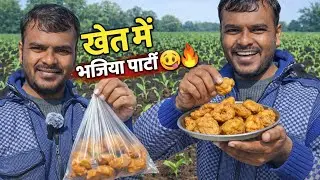 धान कटाई के बाद मक्का की खेती | खेत में देसी भजिया