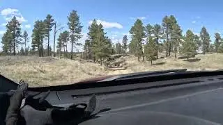 Turkey Scouting in Eastern MT