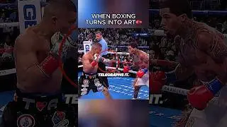 When Boxers Enter Flow State