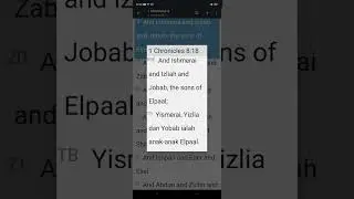 HOLY BIBLE 1 CHRONICLES 8:18 (BBE),(TB)