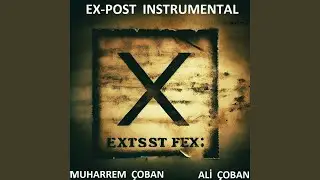 Ex-Post (Instrumental)
