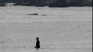 Linda Mar Beach Whale and Surfers 2 Oct 08, 2020