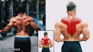 Upper Traps Middle Traps And Lower Traps Workout Gym - Traps