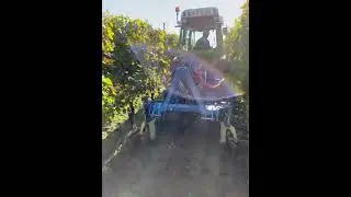 Plowing / Travail des sols - Ch Fleur Haut Gaussens
