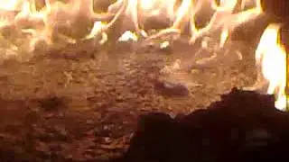 28022012002 001